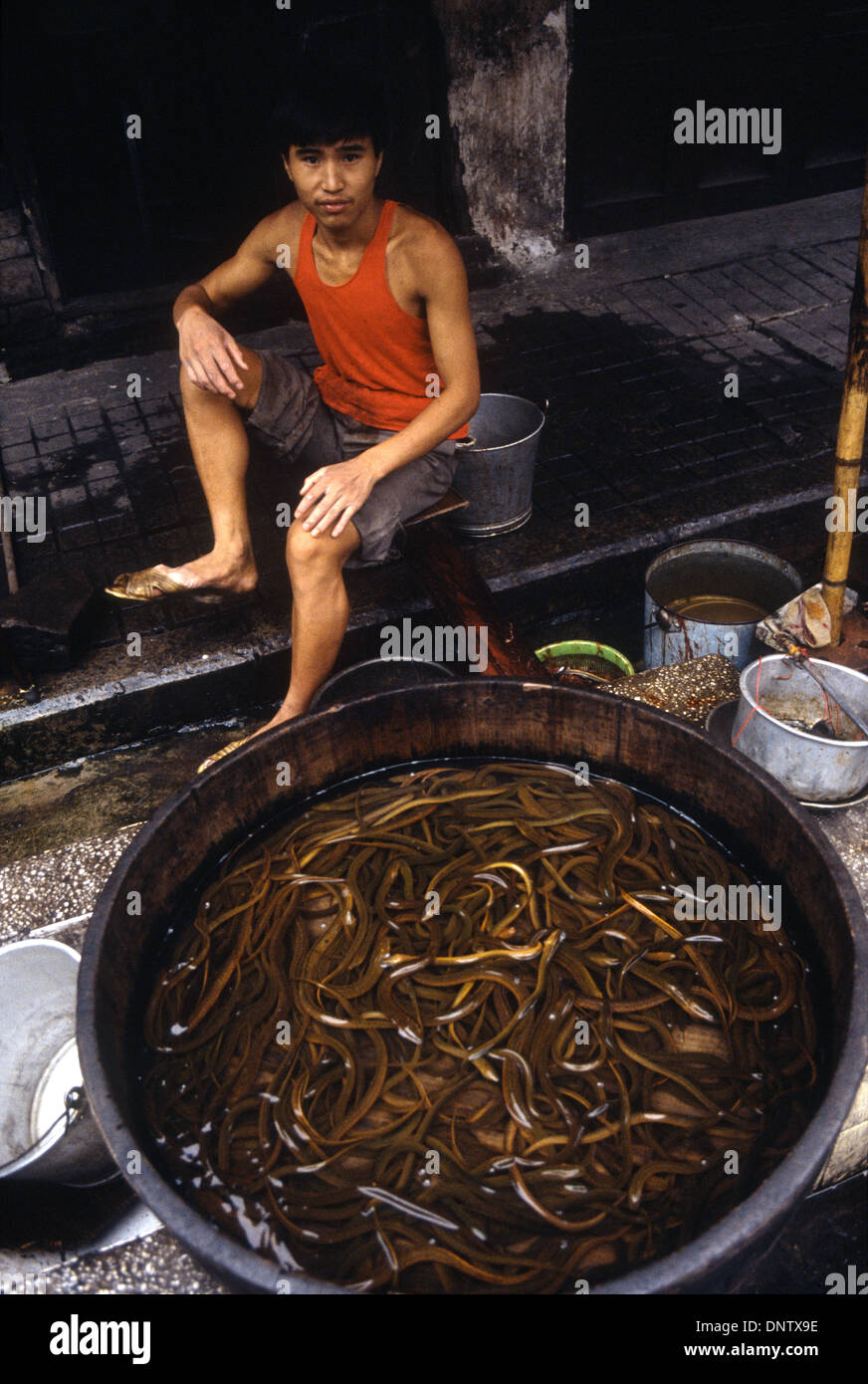 Eine Hawker Verkauf Wasserschlange auf einem Markt in Guangzhou, China Stockfoto