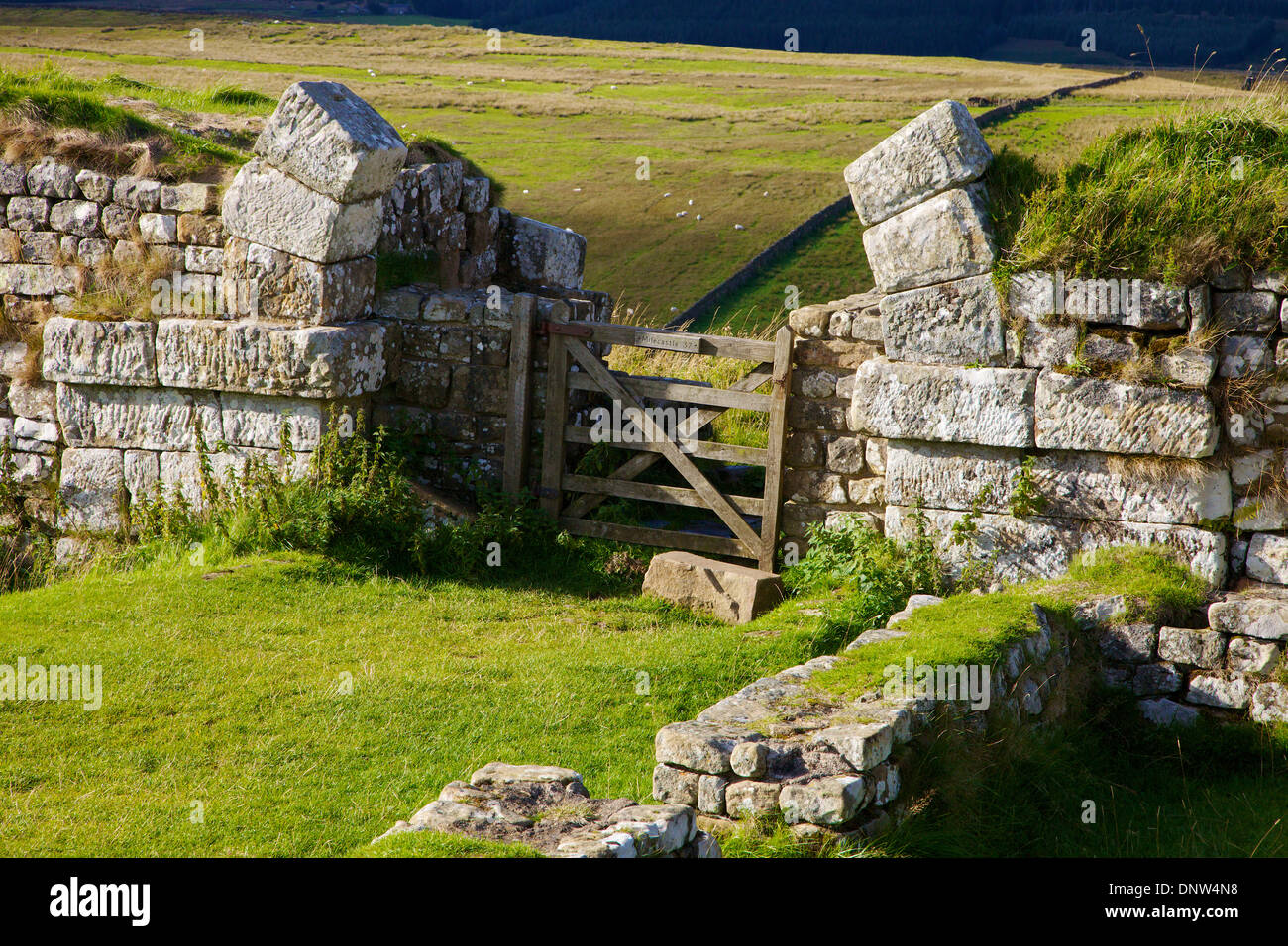 Milecastle 37 Torhaus in der Nähe von Housteads römisches Kastell am Hadrianswall National Trail, Northumberland-England-Großbritannien Stockfoto