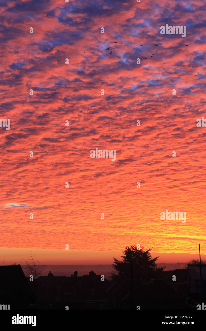 Erstaunlichen roten Himmel bei Sonnenaufgang an einem Wintermorgen in Eastleigh, Hampshire, UK Stockfoto