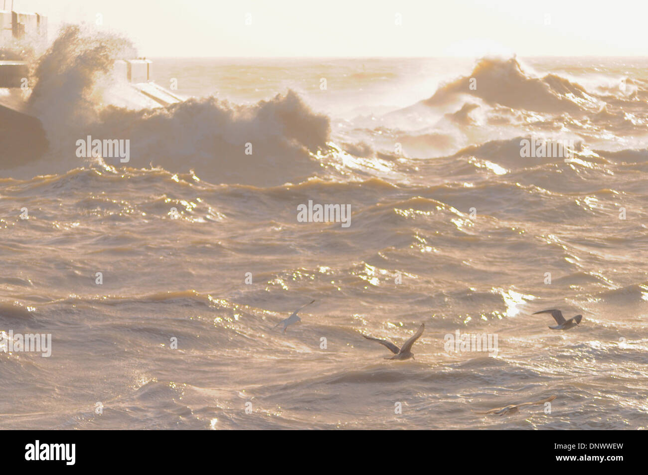 Küste von Sussex, UK. 6. Januar 2014. Ein heller aber noch böigen Tag am Brighton Marina Westwand. Bildnachweis: David Burr/Alamy Live-Nachrichten Stockfoto
