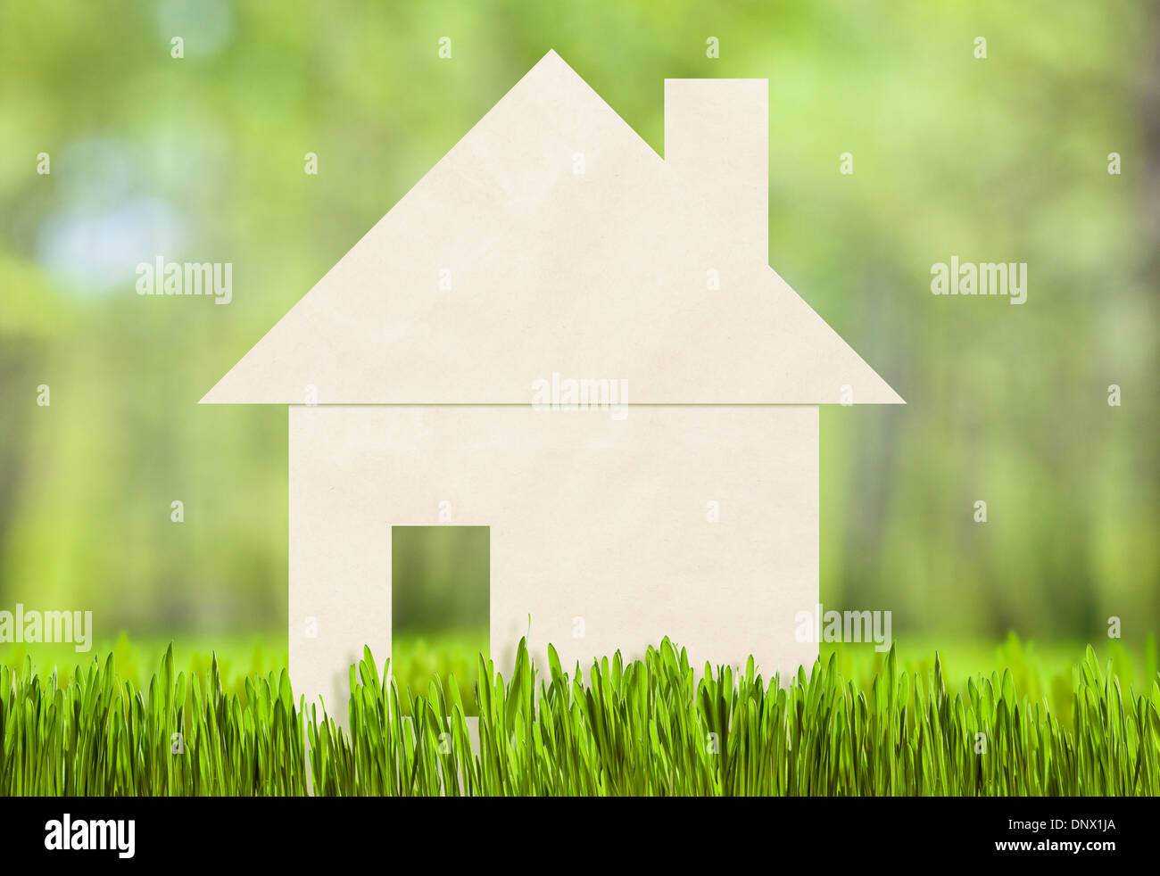 Papierhaus am grünen Rasen-Konzept Stockfoto