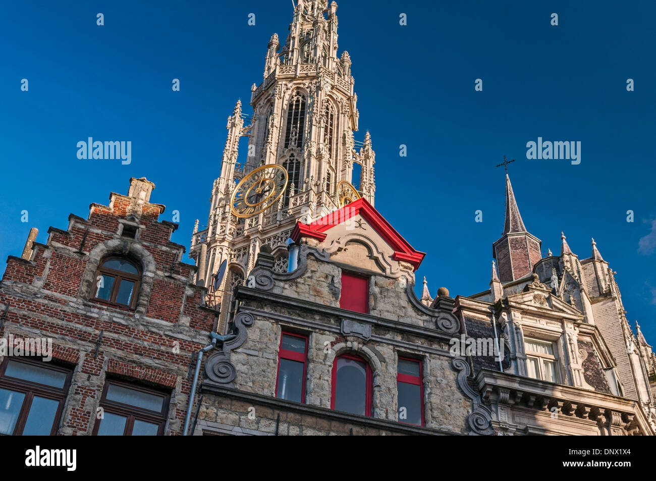 Dom-Turm und Zunfthäuser-Antwerpen-Belgien Stockfoto