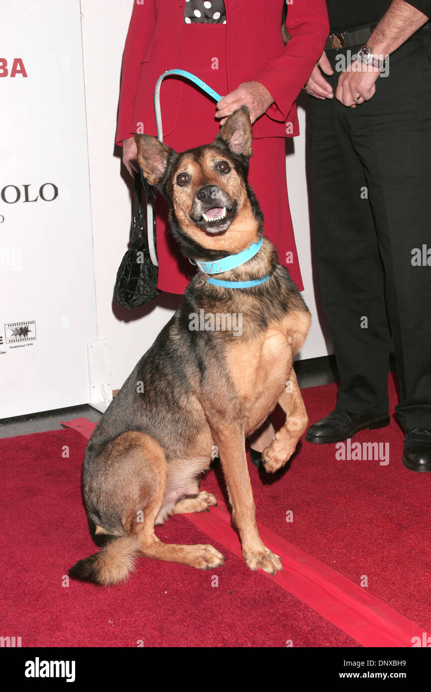 4. Dezember 2005; Los Angeles, Kalifornien, USA; AMIGO aus dem '' Bekind Organnization'' A Charity gegründet von Frau Frances Hayward Förderung der Tierschutz bei der "Breakthrough of The Year Awards' auf die Musikbox am Henry Fonda Theater statt. Obligatorische Credit: Foto von Paul Fenton/KPA/ZUMA Press. (©) Copyright 2006 von Paul Fenton Stockfoto