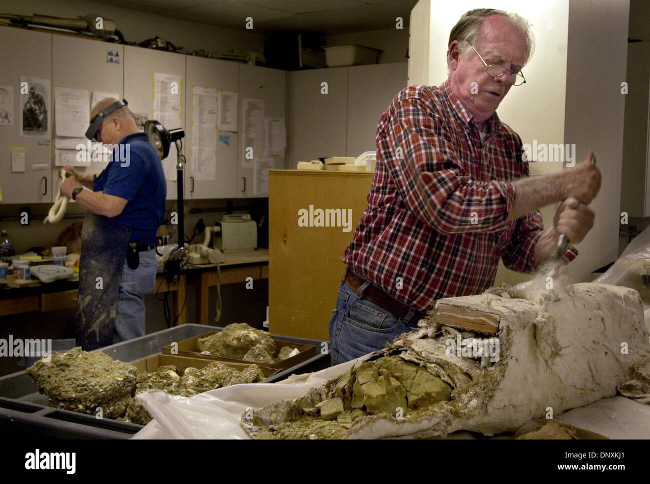 (veröffentlichte 27.02.2003; B-1:1, 2, 7) Jim Colclough<cq>, Freiwillige für die Paläontologie-Abteilung bei der San Diego Natural History Museum, rechts, öffnet ein Gips-Feldjacke mit 13 Millionen Jahre alten Bartenwal Knochen (gefunden in der Nähe von Bakersfield, Kalifornien) innen, wie funktioniert der Paläontologe Robert '' Fritz'' Clark, links, auf eine Besetzung von einer Schlange. SCHLÜSSELWÖRTER: MUSEEN. --Laura Embry/Union-Tribune</cq> Stockfoto