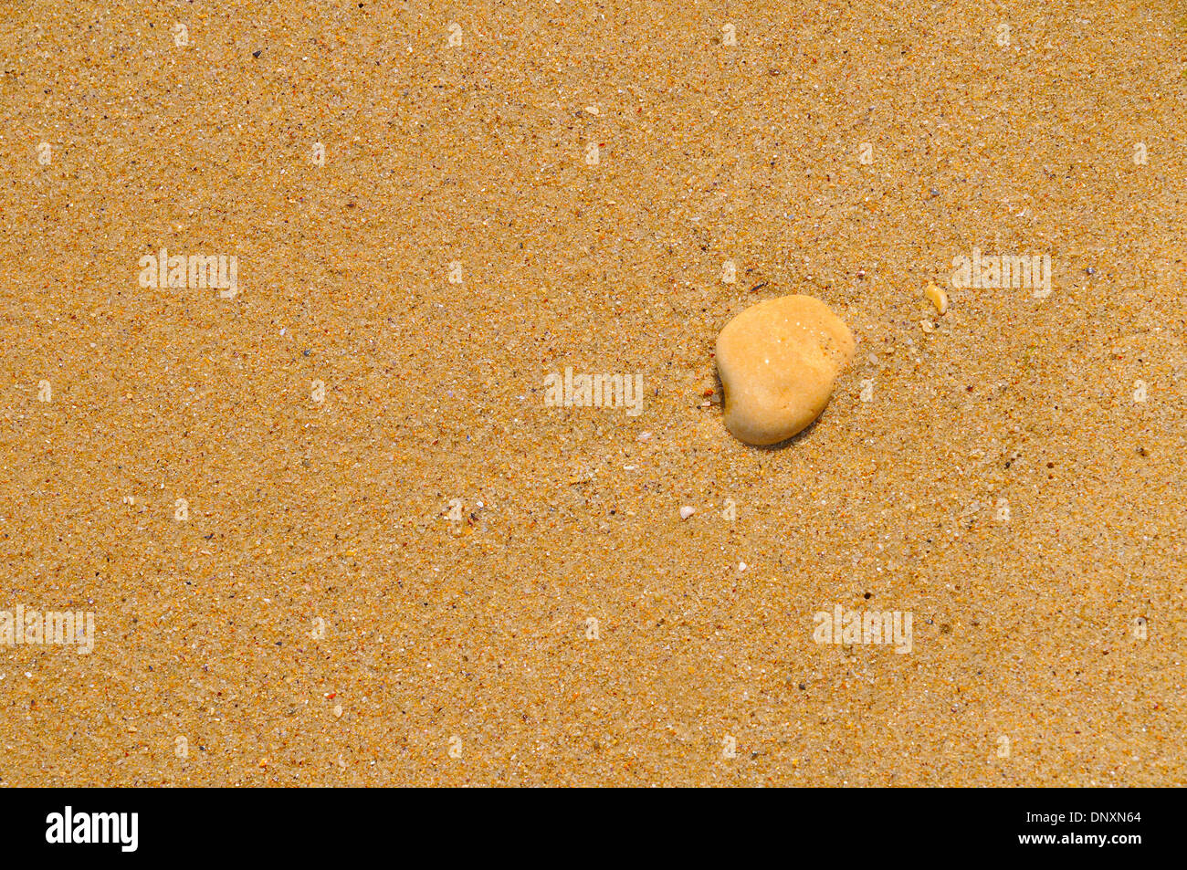 Stein im goldenen Sand. Stockfoto