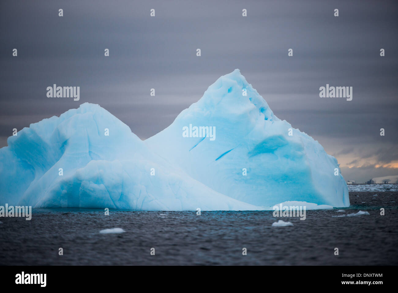 Blauer Eisberg Curtis Bay Antarktis // Ein blauer Eisberg schwimmt in den antarktischen Gewässern der Curtis Bay, Antarktis. Stockfoto