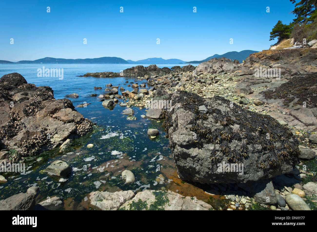 Ein sonniger Tag am Weststrand im Washington Park, Anacortes, Washington, USA Stockfoto