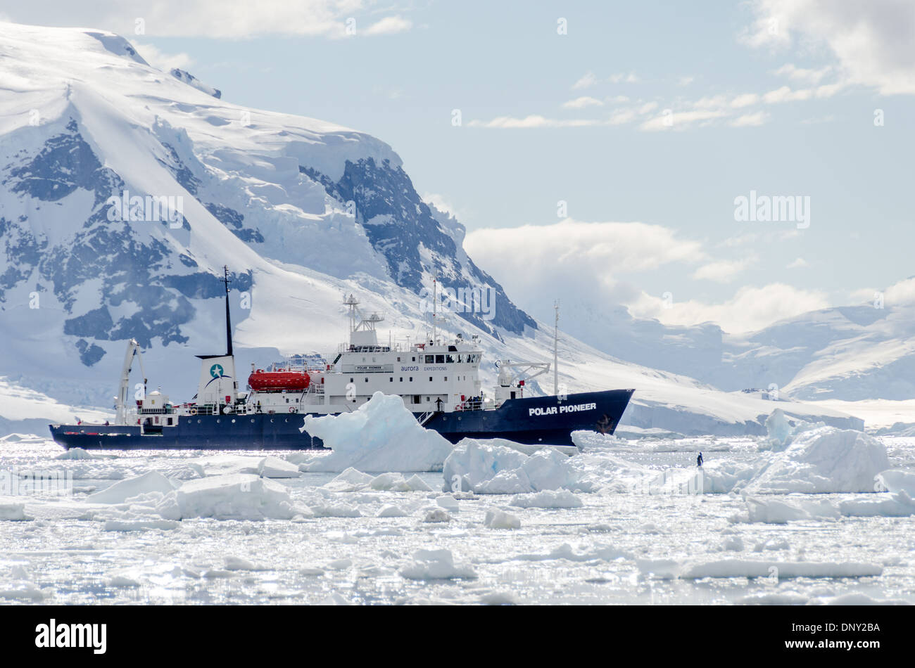 Antarktis - ein Schiff (Polar Pioneer) unter den brash Eis und Eisberge von Neko Harbour, Antarktis. Stockfoto
