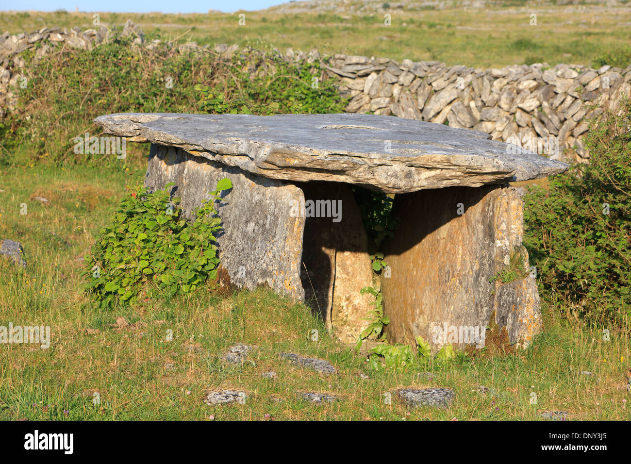 Glenisheen Keil Grab in County Clare, Irland Stockfoto