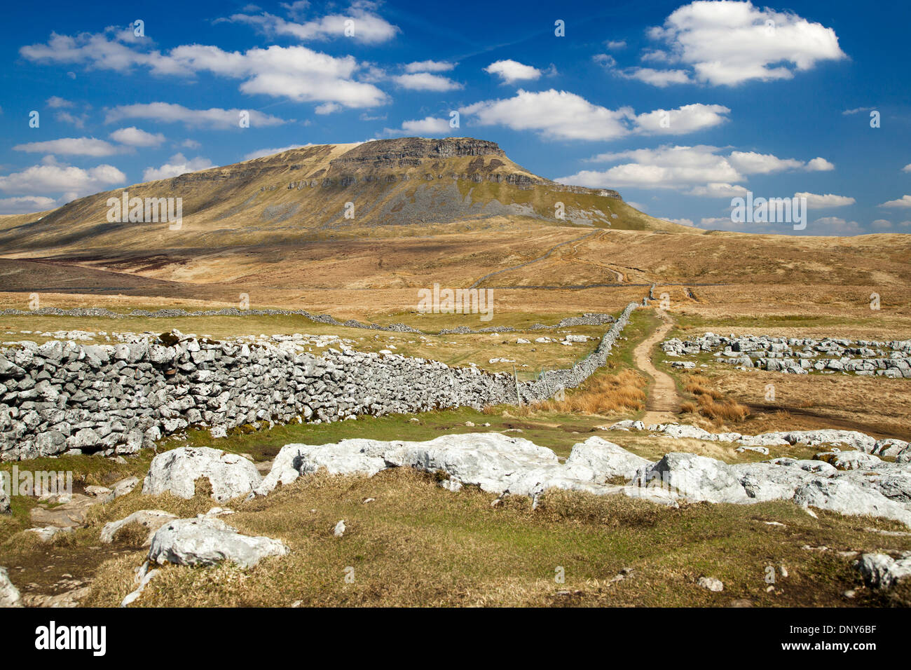 Pen-y-Gent, Ribblesdale, Yorkshire Dales, Yorkshire Stockfoto