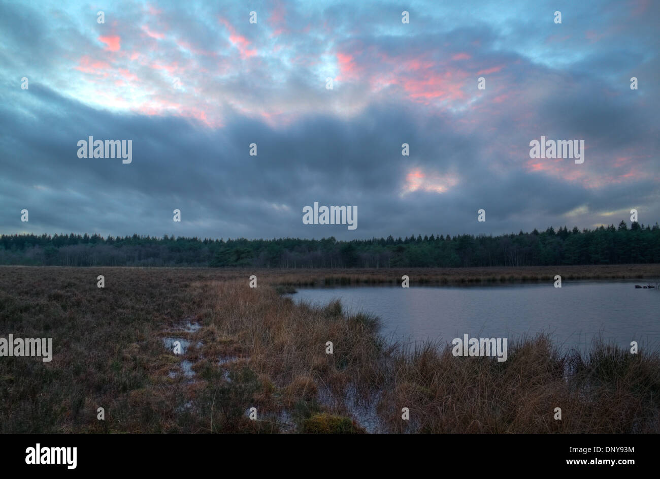 See auf einem Moor kurz vor Sonnenaufgang, Himmel mit orange farbigen Wolken Stockfoto