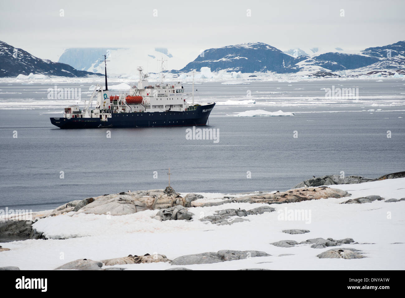 Antarktis - Die Polar Pioneer, der Antarktis Kreuzfahrt Schiff, ist vor der Küste von Petermann Island auf der Antarktischen Halbinsel verankert. Stockfoto