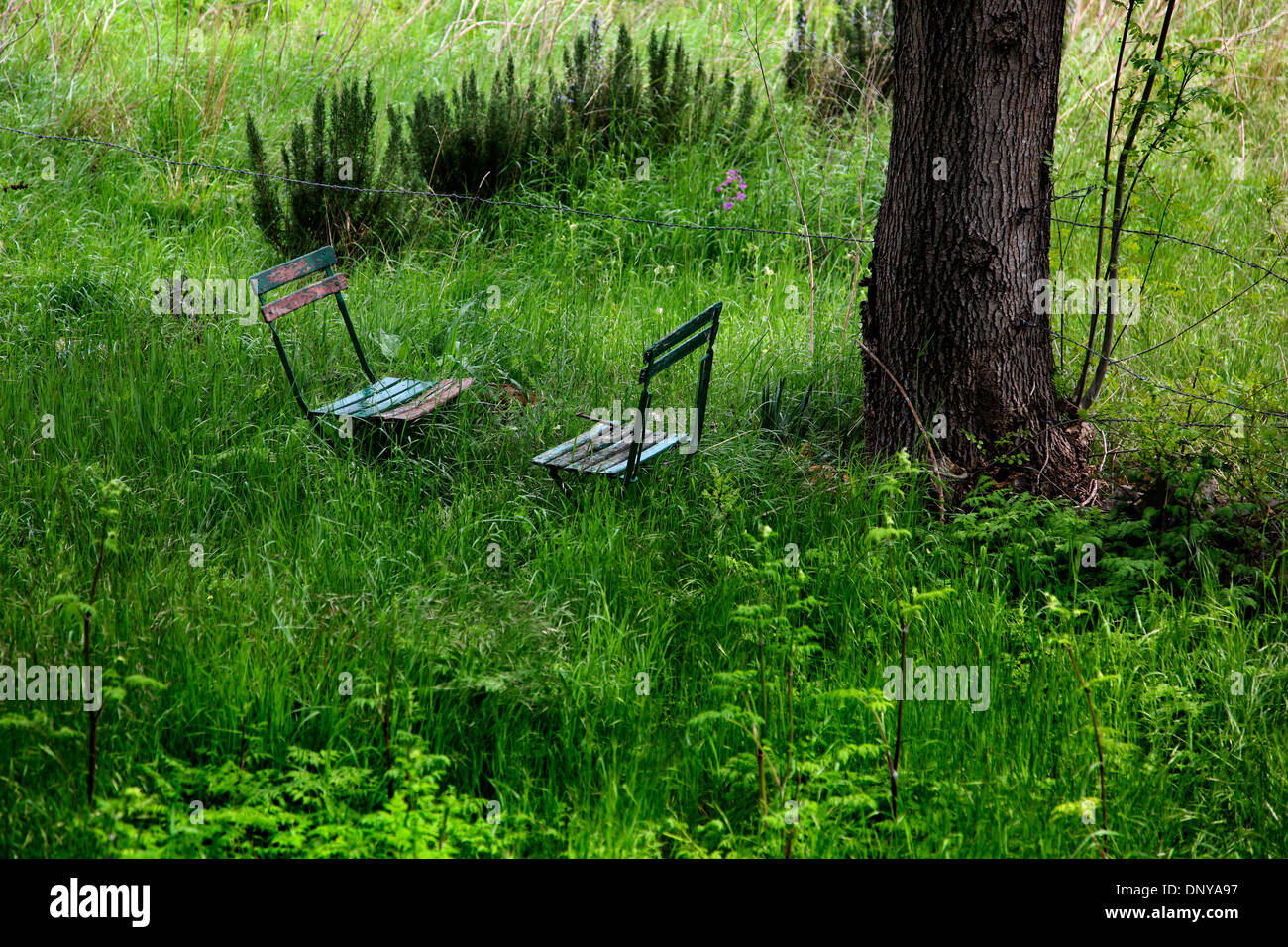 Zwei Stühle im verwilderten französischer Garten einander gegenüber, Frankreich Stockfoto