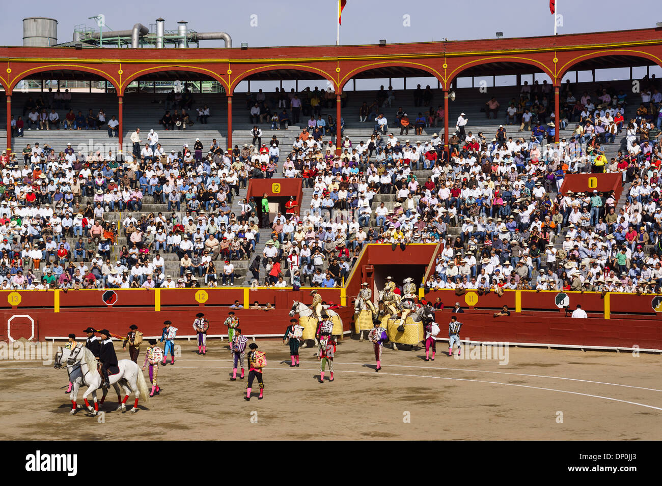 Feria Señor de Los Milagros an der Plaza de Acho in Lima Peru. 6 Stiere von San Sebastian de Las Palmas Hacienda. Stockfoto