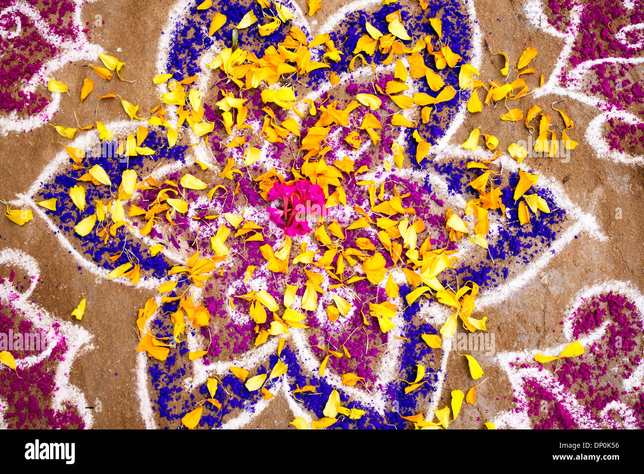 Rangoli Festival farbigen Pulver Design und Blumen in einer indischen Straße. Andhra Pradesh, Indien Stockfoto