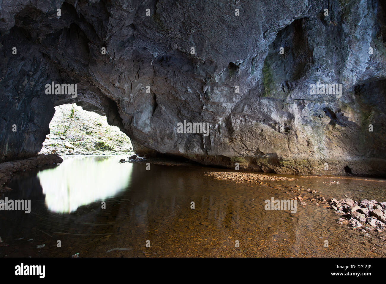 Ein unterirdischer Fluss in Rakov Skocjan park Stockfoto