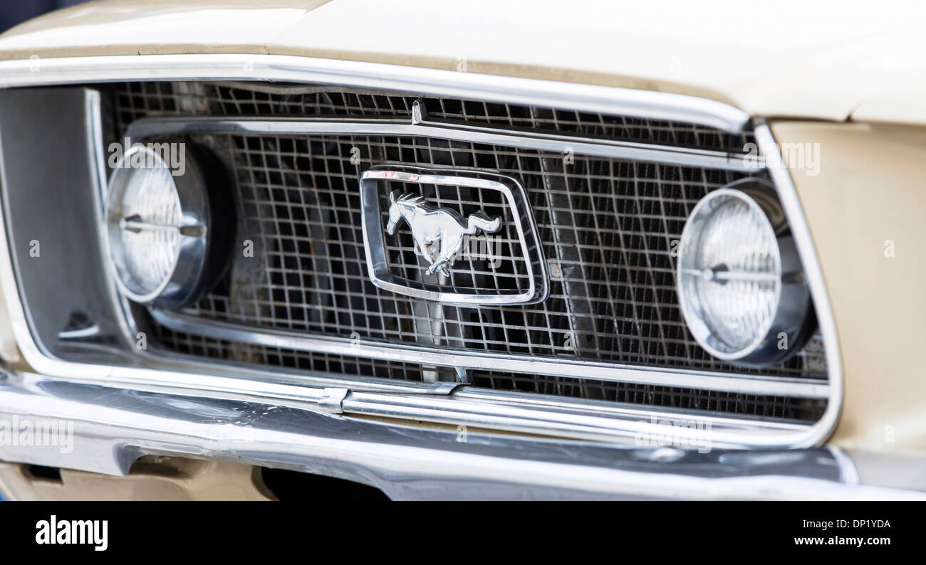 Kühlergrill Ford Mustang 302 GT, 1968 Stockfoto