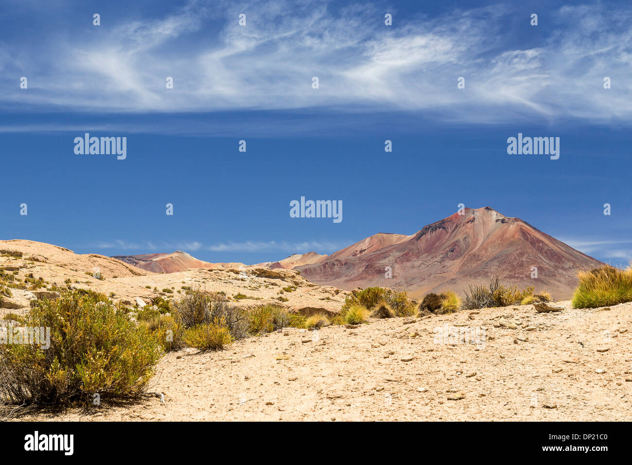 Landschaft im Altiplano, Anden-Hochebene, Anden, Bolivien Stockfoto