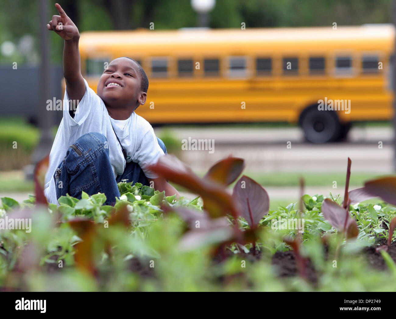 19. Mai 2006; St. Paul, MN, USA; Battle Creek Umwelt Magnet dritte-Grader JaQuon Lindsey wies in Richtung Hauptstadt wie er Blumen mit anderen Mitgliedern der Fachschaft von seiner Schule Freitag Morgen in der Hauptstadt gepflanzt.  Klassen von 11 St. Paul öffentlichen Schulen Straße den Bus in die Hauptstadt zu helfen, Pflanze Blumen, eine Zusammenarbeit zwischen der öffentlichen Schulen St. Paul Edu Stockfoto