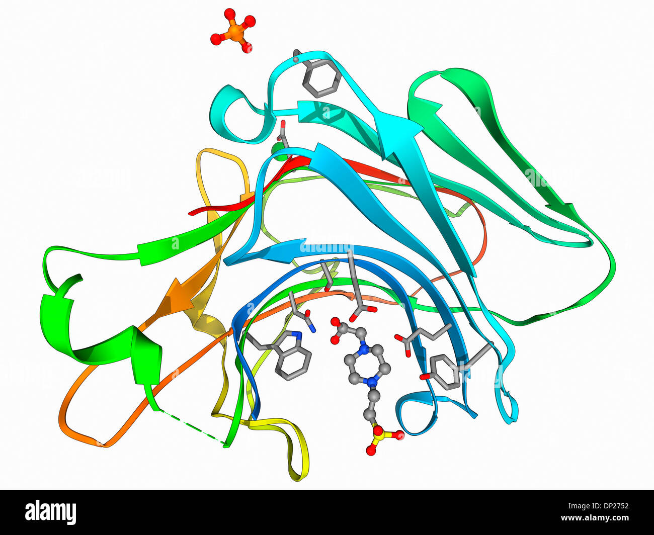 Beta-Glukanase Enzym-Molekül Stockfoto