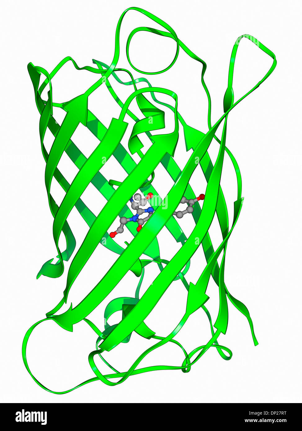 Grün fluoreszierendes Protein-Molekül Stockfoto
