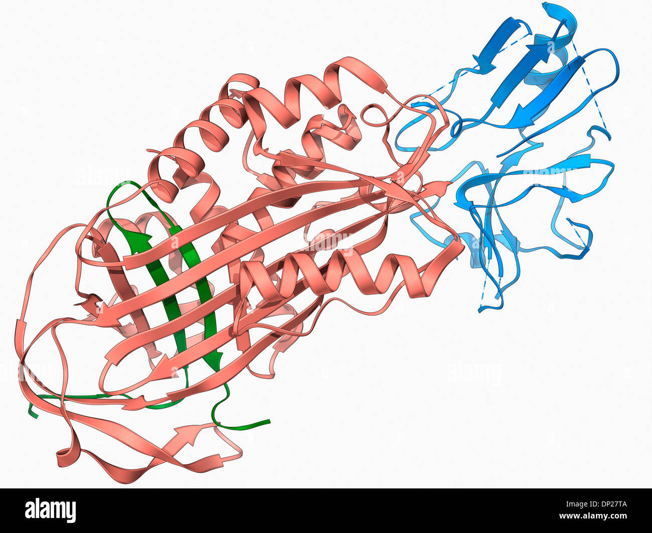 Proteinase Inhibitor Molekül Stockfotografie Alamy