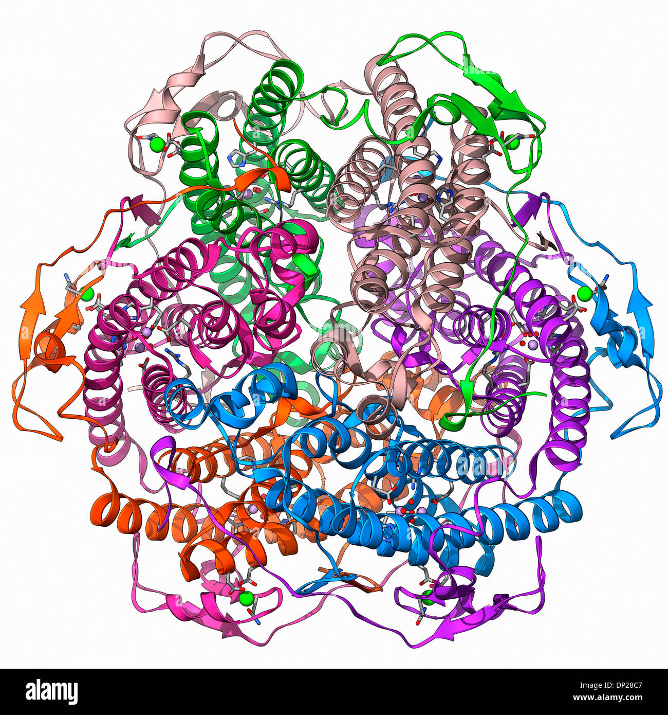Mangan Katalase  Enzym Molek l Stockfoto Bild 65204055 