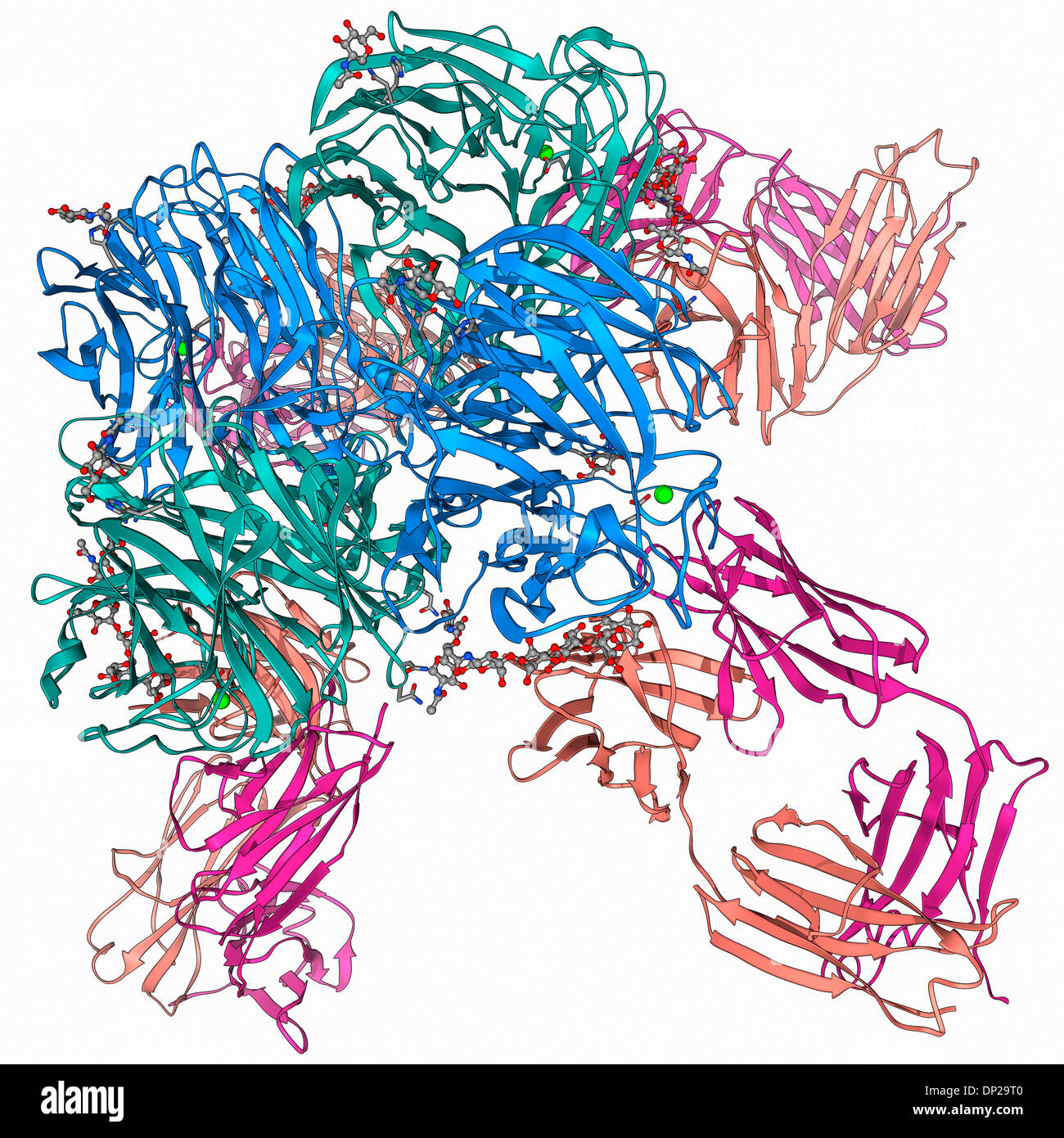 Grippe-Virus Oberfläche Proteine und Antikörper Stockfoto