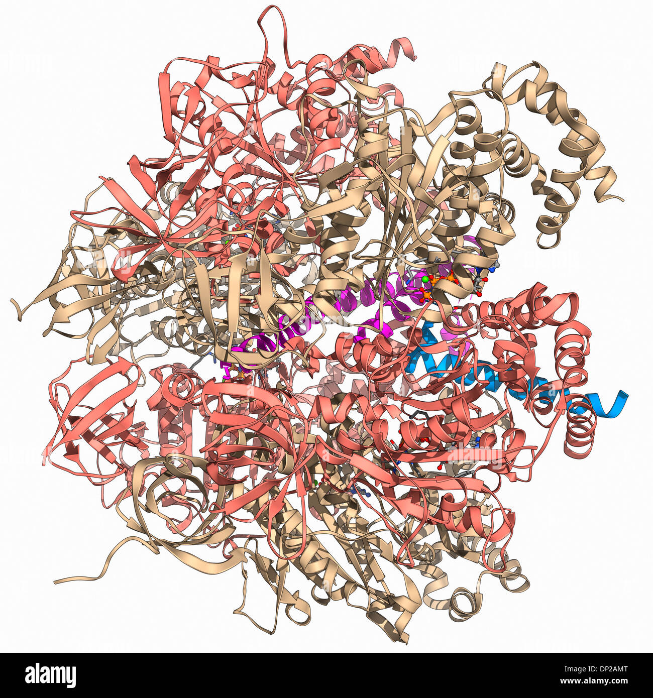 ATPase und Inhibitor, Molekülmodell Stockfoto