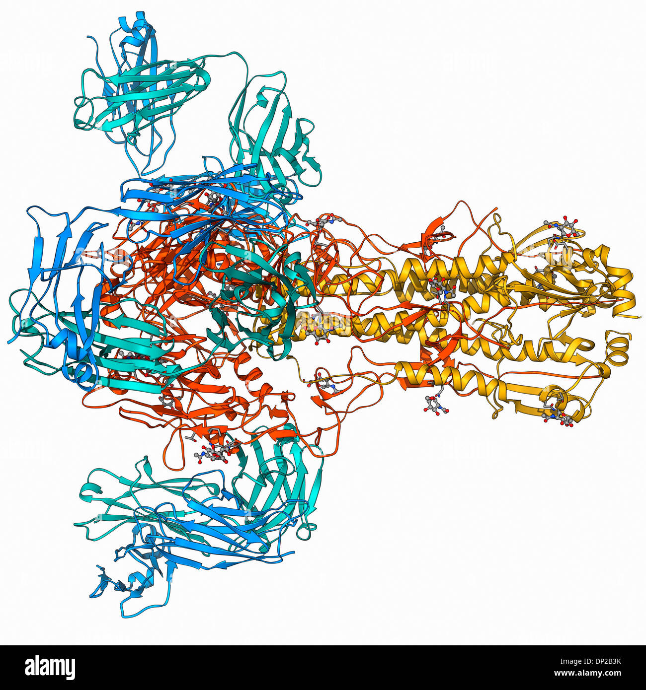 Virale Oberfläche Protein Hämagglutinin Stockfoto