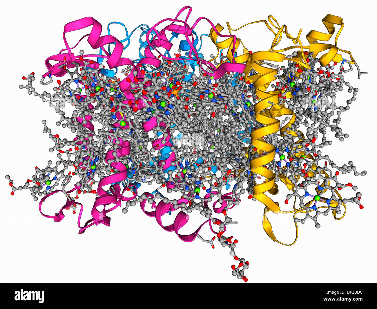 Oxidoreduktase Stockfotos und bilder Kaufen Alamy