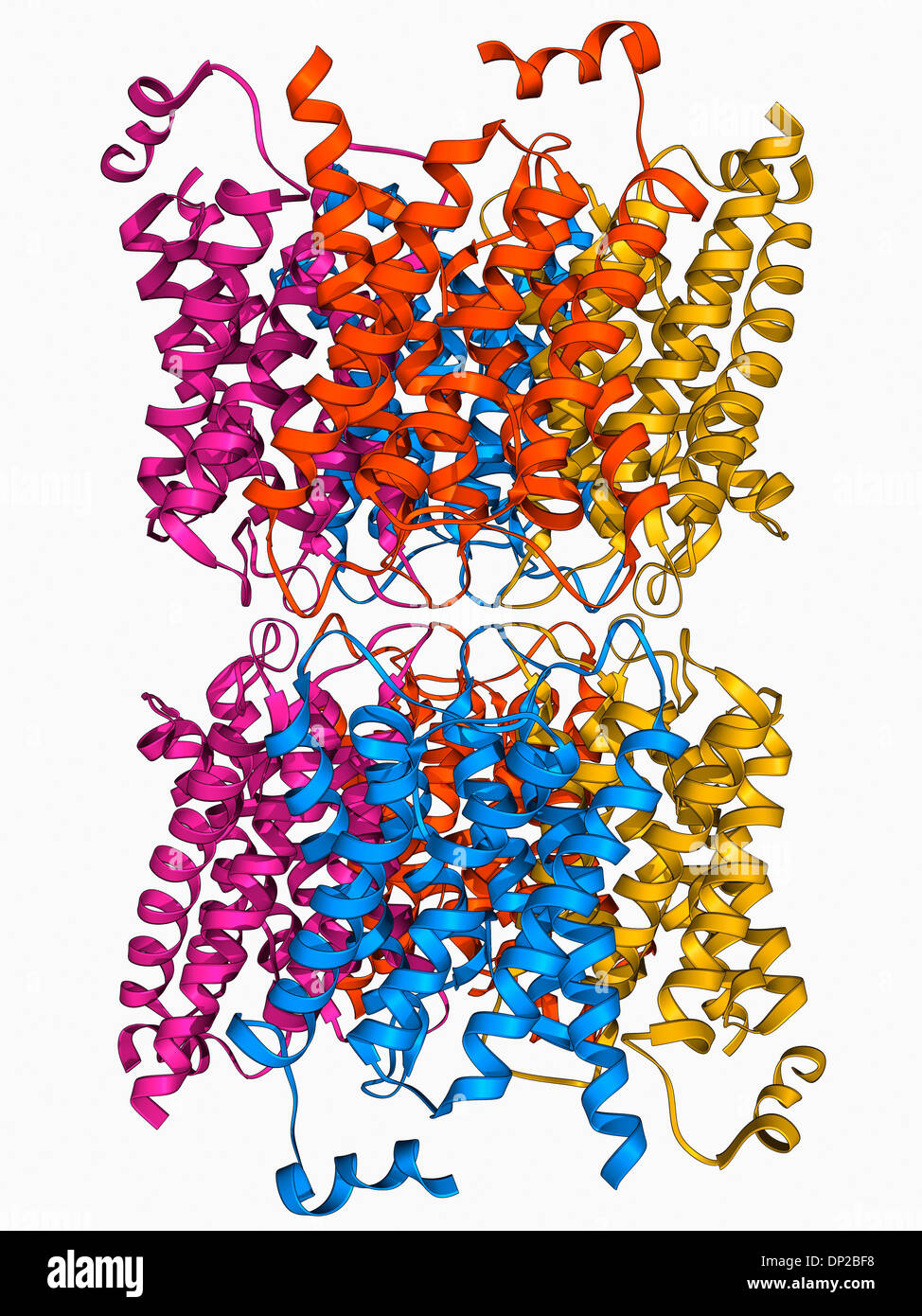 Aquaporin-Membranprotein Stockfoto