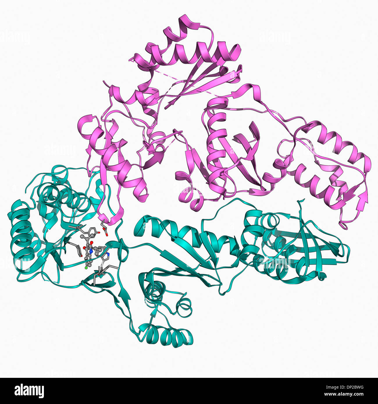 Reverse Transkriptase und inhibitor Stockfoto