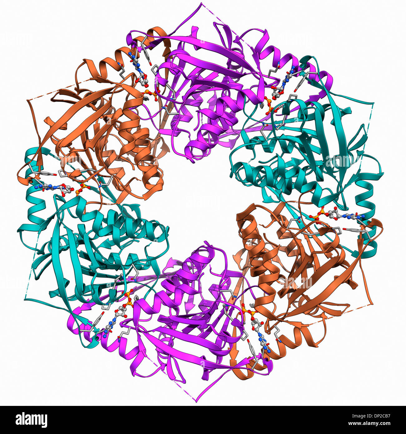 Bakteriophagen-ATPase-Molekül Stockfoto
