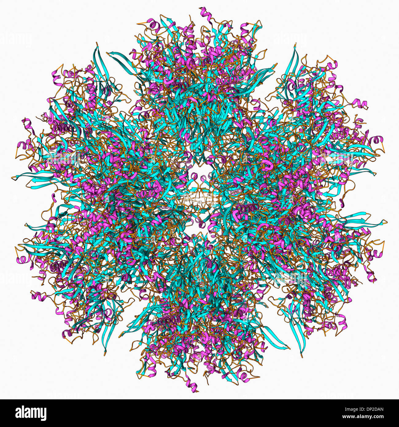 Adenovirus Penton Basis protein Stockfoto