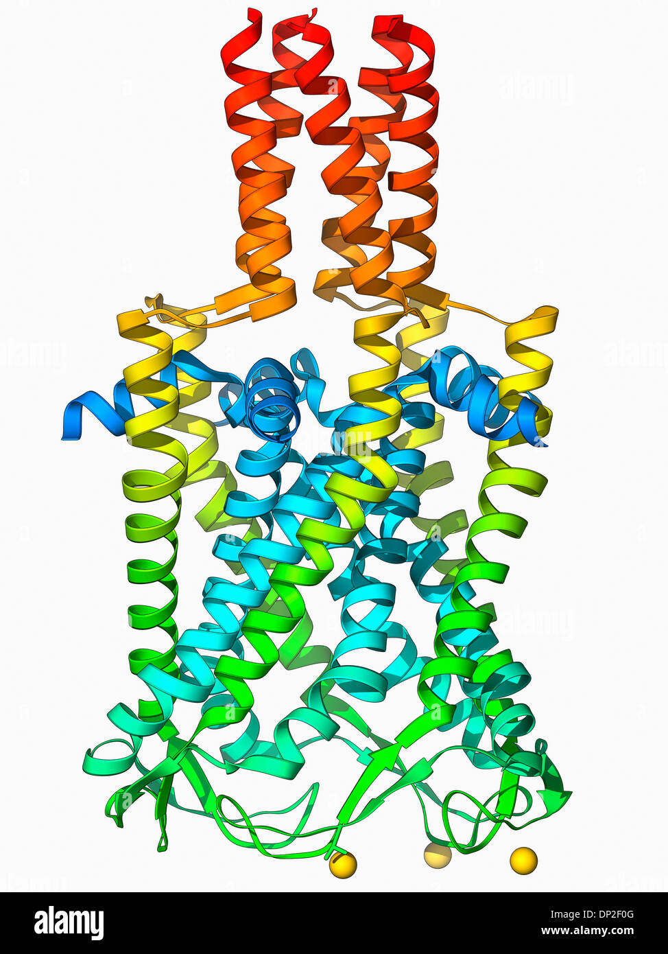 MscL Ionen-Kanal Proteinstruktur Stockfoto