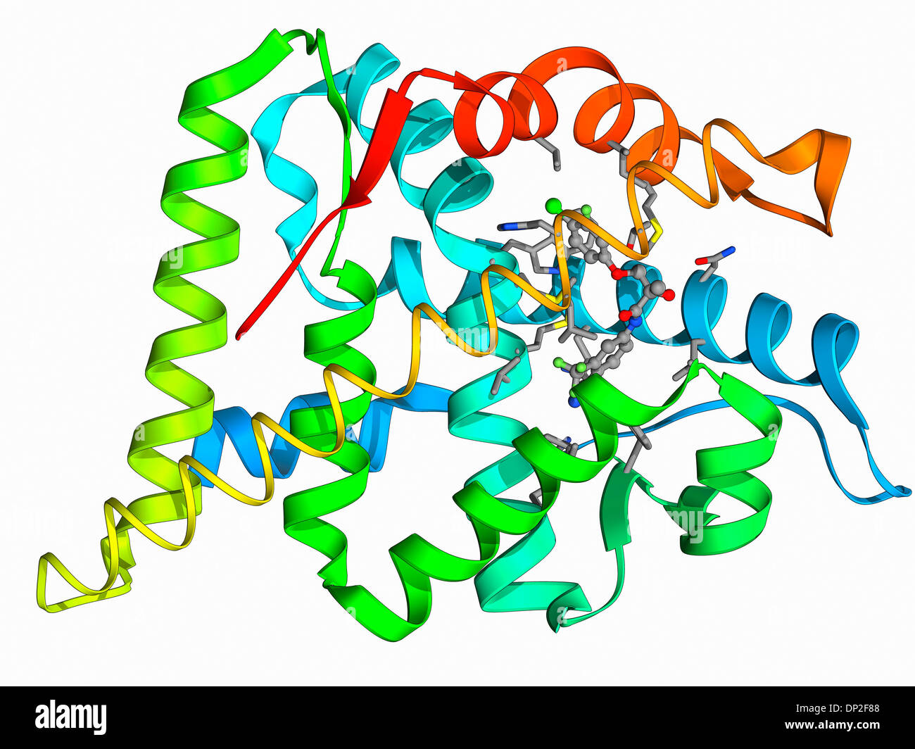 AndrogenRezeptor und modulator Stockfotografie Alamy