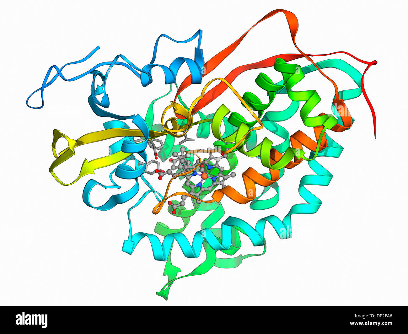 Cytochrom-P450-komplexes Stockfoto