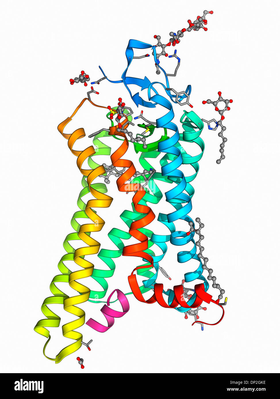 Metarhodopsin Molekül Stockfoto