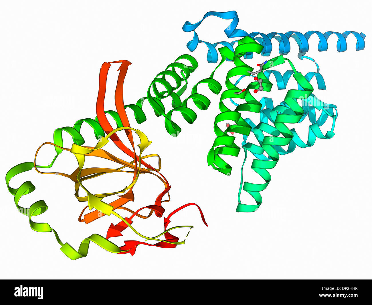 Protein tertiärstruktur Fotos und Bildmaterial in hoher Auflösung Alamy