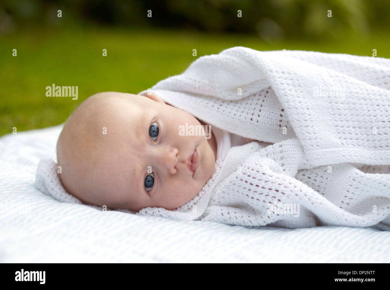 Drei Monate alten Babyjungen Stockfoto