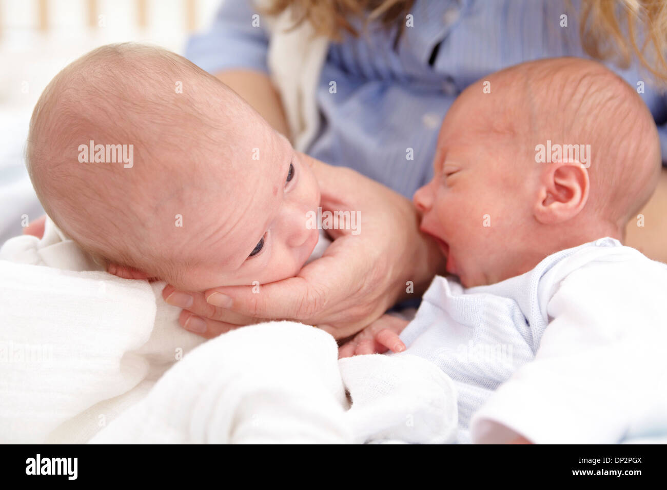 Mutter und zwei Wochen alten Zwillingen Stockfoto