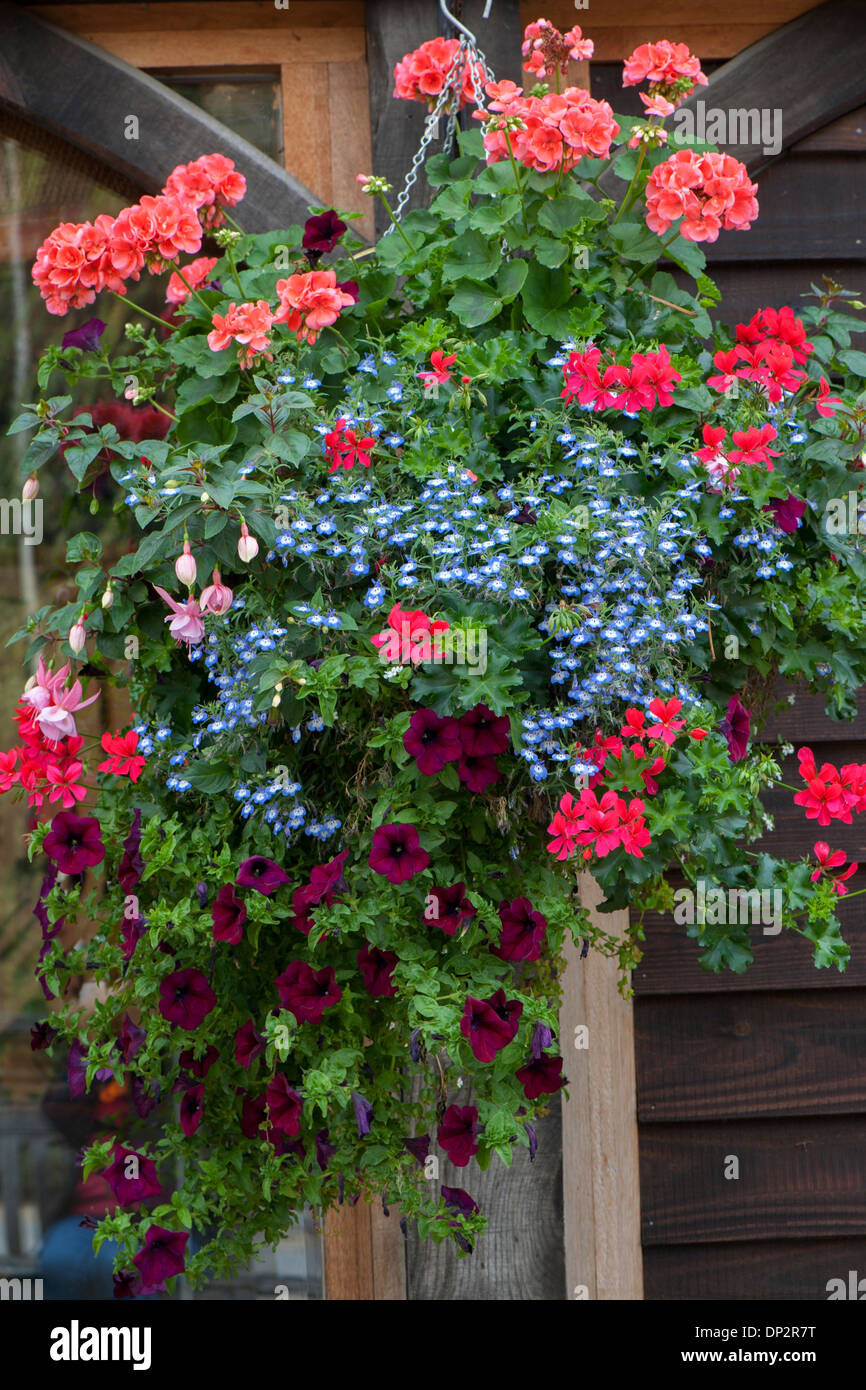 Sommer hängenden Korb mit Blumen Stockfoto