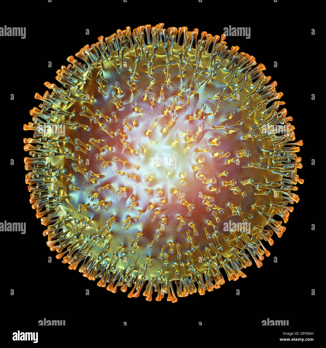 Vogelgrippe-Virus, artwork Stockfoto