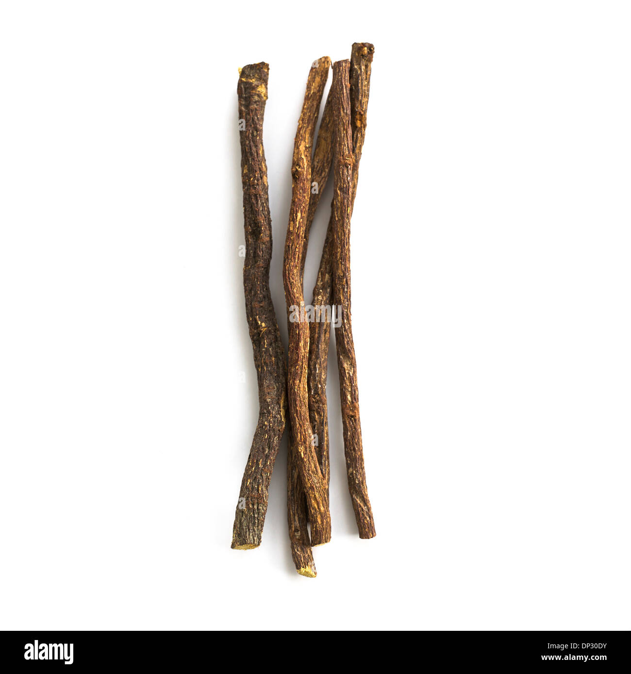 Süßholzwurzel Glycyrrhiza glabra Stockfoto