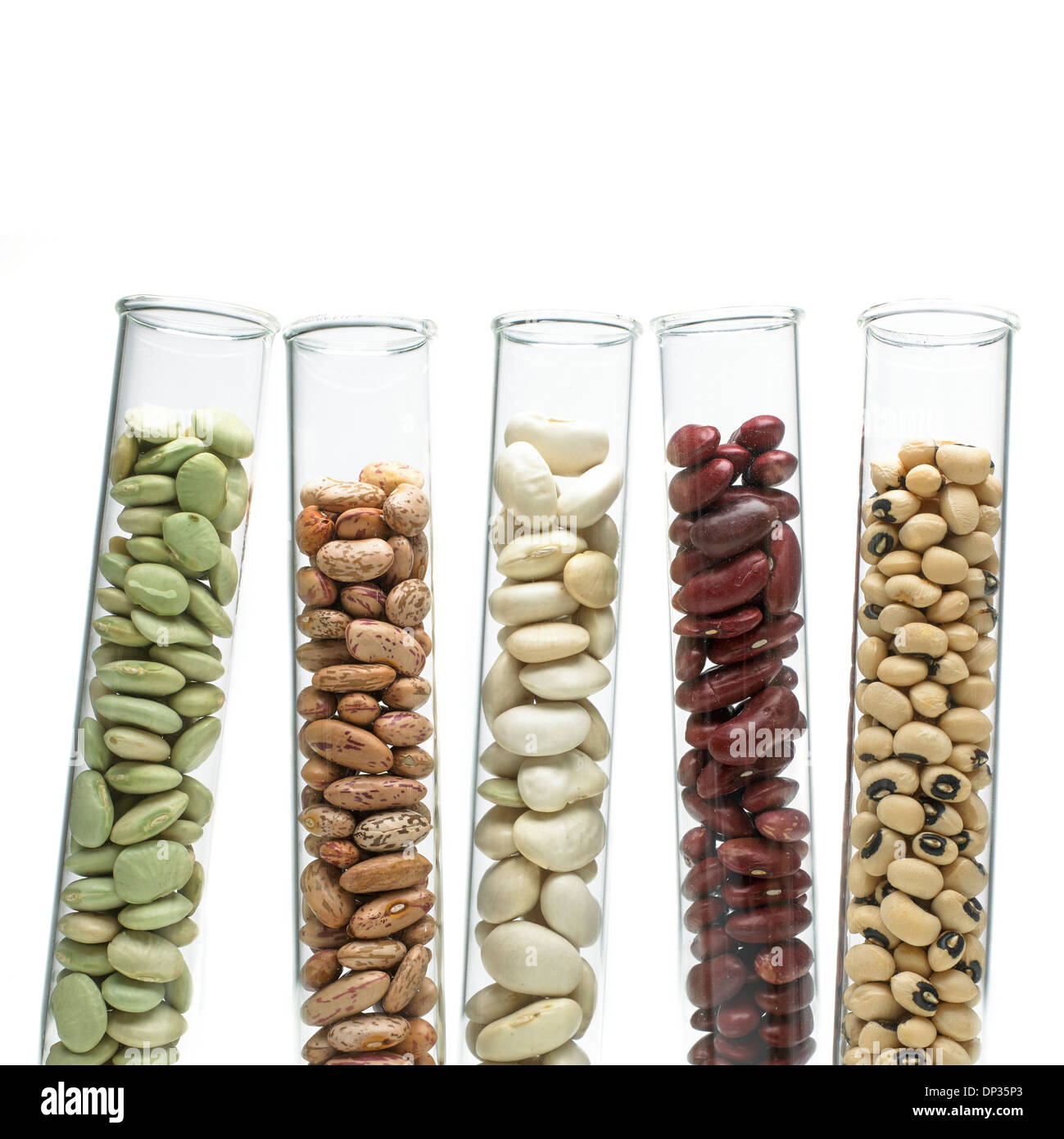 Bohnen und Hülsenfrüchte im Reagenzglas Stockfoto