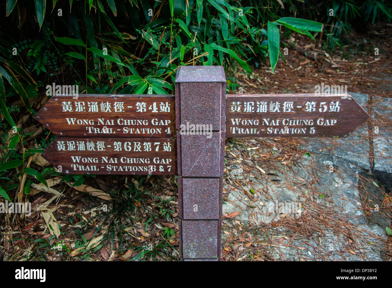 Wong Nai Chung Gap Trail Wegweiser mit Informationen, Hong Kong Stockfoto