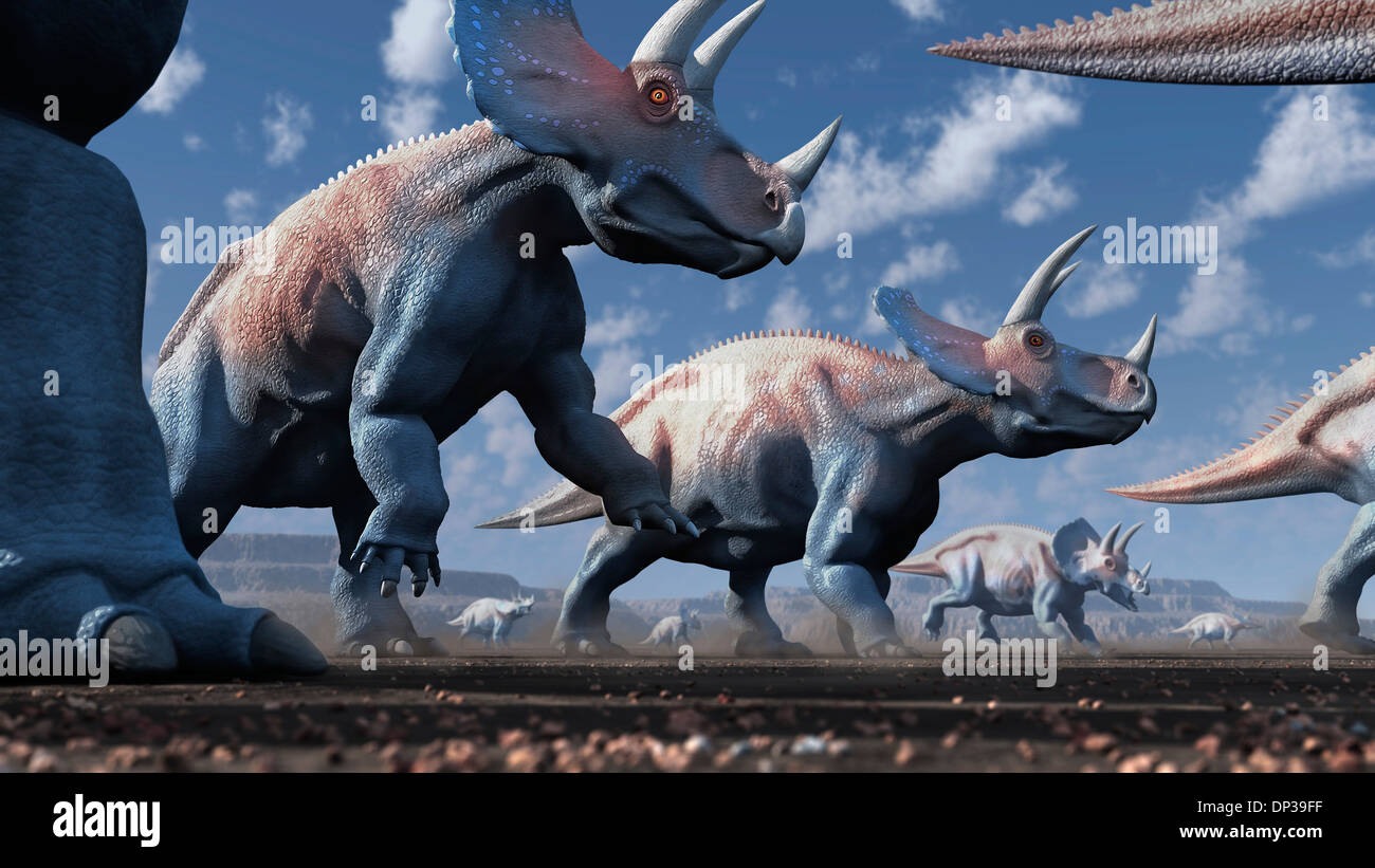 Artwork von einer Herde von triceratops Stockfoto
