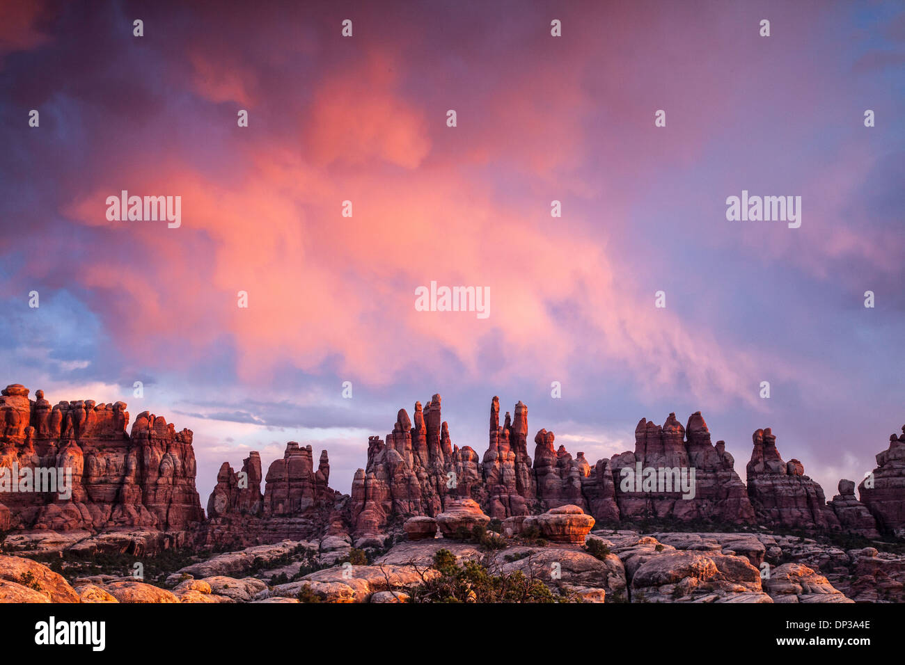 Sonnenuntergang über der Nadeln, Canyonlands National Park, Utah, Needles District, Devils Tasche Stockfoto