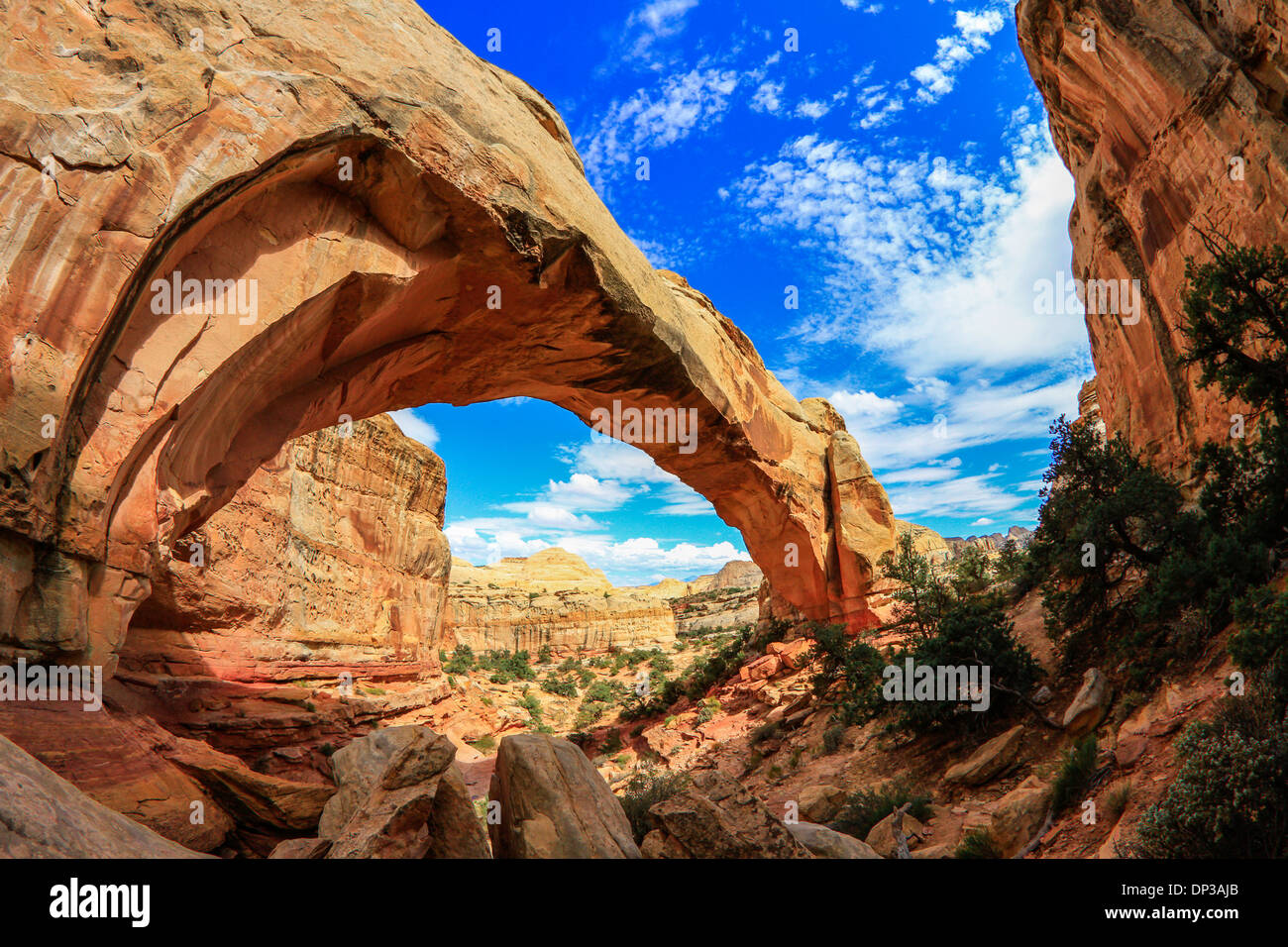 Hickman Natural Bridge, Capitol Reef National Park, Utah, Waterpocket